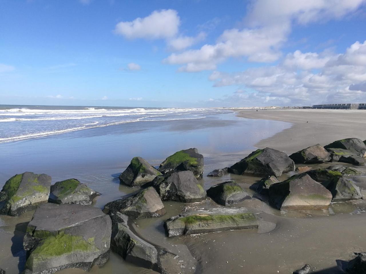 Hotel Noordzee Hoek van Holland Esterno foto